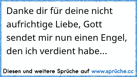 Danke dir für deine nicht aufrichtige Liebe, Gott sendet mir nun einen Engel, den ich verdient habe...