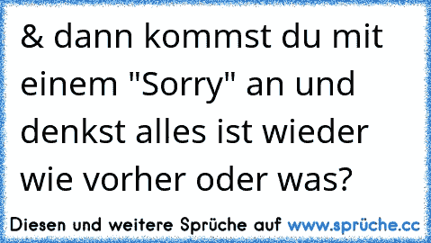 & dann kommst du mit einem "Sorry" an und denkst alles ist wieder wie vorher oder was?