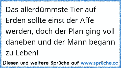 Das allerdümmste Tier auf Erden sollte einst der Affe werden, doch der Plan ging voll daneben und der Mann begann zu Leben!