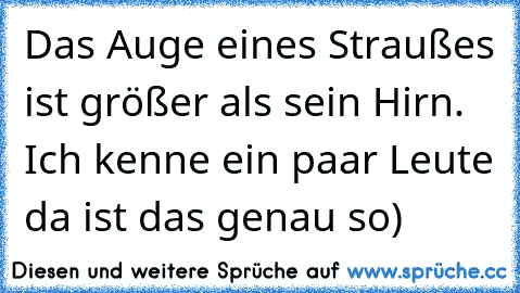 Das Auge eines Straußes ist größer als sein Hirn. Ich kenne ein paar Leute da ist das genau so)