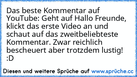 Das beste Kommentar auf YouTube: Geht auf Hallo Freunde, klickt das erste Video an und schaut auf das zweitbeliebteste Kommentar. Zwar reichlich bescheuert aber trotzdem lustig! :D