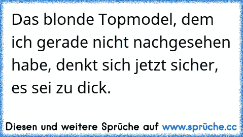 Das blonde Topmodel, dem ich gerade nicht nachgesehen habe, denkt sich jetzt sicher, es sei zu dick.