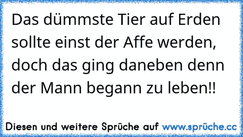 Das dümmste Tier auf Erden sollte einst der Affe werden, doch das ging daneben denn der Mann begann zu leben!!