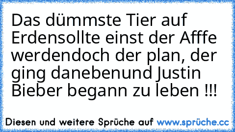 Das dümmste Tier auf Erden
sollte einst der Afffe werden
doch der plan, der ging daneben
und Justin Bieber begann zu leben !!!