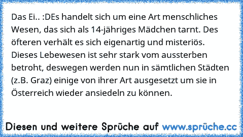 Das Ei.. :D
Es handelt sich um eine Art menschliches Wesen, das sich als 14-jähriges Mädchen tarnt. Des öfteren verhält es sich eigenartig und misteriös. Dieses Lebewesen ist sehr stark vom aussterben betroht, deswegen werden nun in sämtlichen Städten (z.B. Graz) einige von ihrer Art ausgesetzt um sie in Österreich wieder ansiedeln zu können.