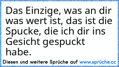 Das Einzige, was an dir was wert ist, das ist die Spucke, die ich dir ins Gesicht gespuckt habe.