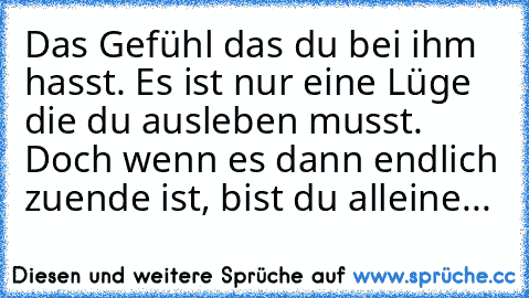 Das Gefühl das du bei ihm hasst. Es ist nur eine Lüge die du ausleben musst. Doch wenn es dann endlich zuende ist, bist du alleine... ♥