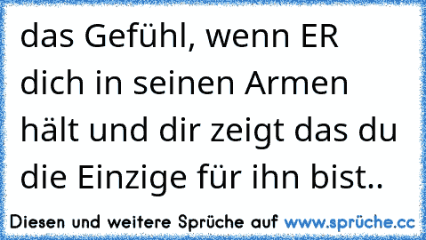 das Gefühl, wenn ER dich in seinen Armen hält und dir zeigt das du die Einzige für ihn bist..