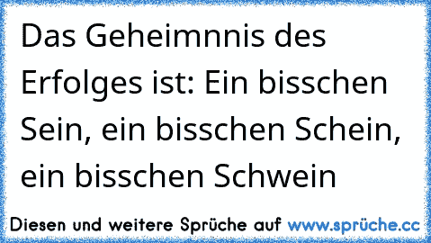 Das Geheimnnis des Erfolges ist: Ein bisschen Sein, ein bisschen Schein, ein bisschen Schwein