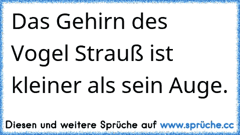 Das Gehirn des Vogel Strauß ist kleiner als sein Auge.