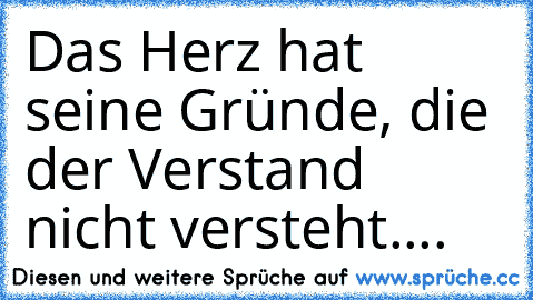 Das Herz hat seine Gründe, die der Verstand nicht versteht....