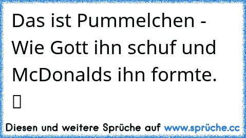 Das ist Pummelchen - Wie Gott ihn schuf und McDonalds ihn formte.  ツ