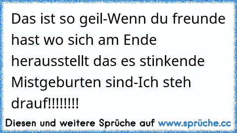 Das ist so geil-Wenn du freunde hast wo sich am Ende herausstellt das es stinkende Mistgeburten sind-Ich steh drauf!!!!!!!!