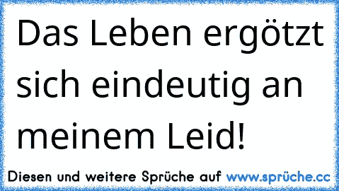 Das Leben ergötzt sich eindeutig an meinem Leid! ♥