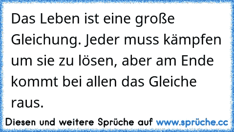 Das Leben ist eine große Gleichung. Jeder muss kämpfen um sie zu lösen, aber am Ende kommt bei allen das Gleiche raus.