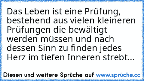 Das Leben ist eine Prüfung, bestehend aus vielen kleineren Prüfungen die bewältigt werden müssen und nach dessen Sinn zu finden jedes Herz im tiefen Inneren strebt... ♥