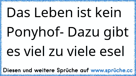 Das Leben ist kein Ponyhof- Dazu gibt es viel zu viele esel ♥