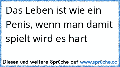 Das Leben ist wie ein Penis, wenn man damit spielt wird es hart