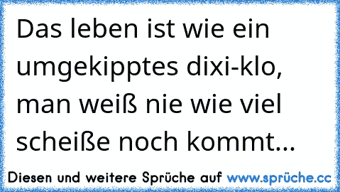 Das leben ist wie ein umgekipptes dixi-klo, man weiß nie wie viel scheiße noch kommt...