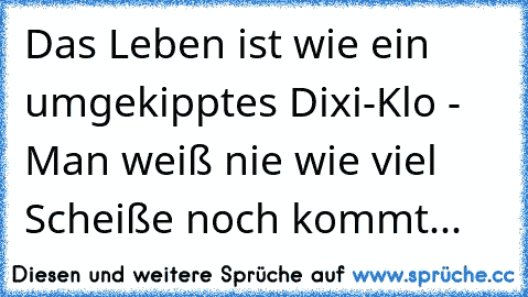 Das Leben ist wie ein umgekipptes Dixi-Klo - Man weiß nie wie viel Scheiße noch kommt...