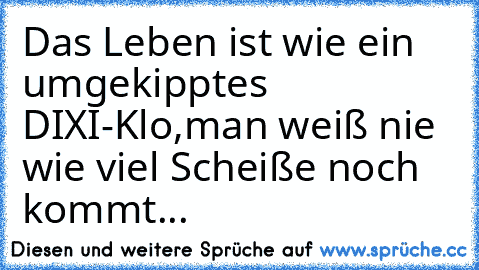 Das Leben ist wie ein umgekipptes DIXI-Klo,
man weiß nie wie viel Scheiße noch kommt...