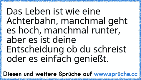 Das Leben ist wie eine Achterbahn, manchmal geht es hoch, manchmal runter, aber es ist deine Entscheidung ob du schreist oder es einfach genießt.