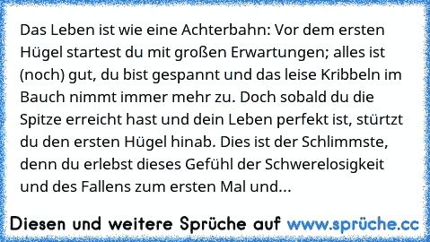 Das Leben ist wie eine Achterbahn: Vor dem ersten Hügel startest du mit großen Erwartungen; alles ist (noch) gut, du bist gespannt und das leise Kribbeln im Bauch nimmt immer mehr zu. Doch sobald du die Spitze erreicht hast und dein Leben perfekt ist, stürtzt du den ersten Hügel hinab. Dies ist der Schlimmste, denn du erlebst dieses Gefühl der Schwerelosigkeit und des Fallens zum ersten Mal und si...