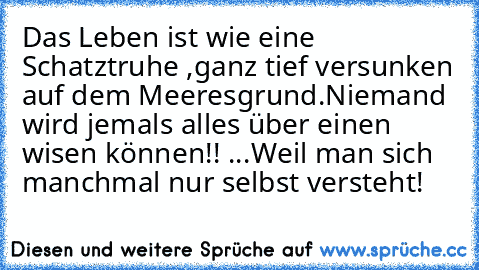 Das Leben ist wie eine Schatztruhe ,ganz tief versunken auf dem Meeresgrund.
Niemand wird jemals alles über einen wisen können!! ...Weil man sich manchmal nur selbst versteht!