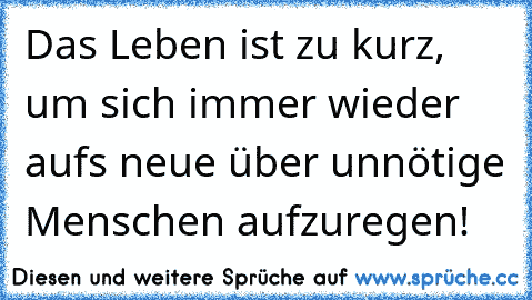 Das Leben ist zu kurz, um sich immer wieder aufs neue über unnötige Menschen aufzuregen!