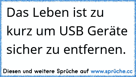 Das Leben ist zu kurz um USB Geräte sicher zu entfernen.