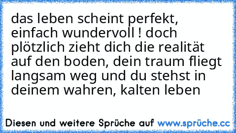 das leben scheint perfekt, einfach wundervoll ! ♥
doch plötzlich zieht dich die realität auf den boden, dein traum fliegt langsam weg und du stehst in deinem wahren, kalten leben