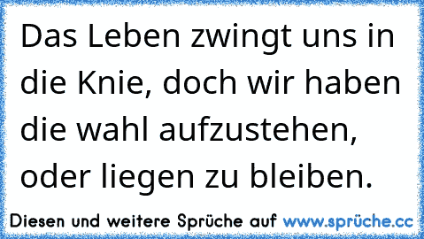 Das Leben zwingt uns in die Knie, doch wir haben die wahl aufzustehen, oder liegen zu bleiben.