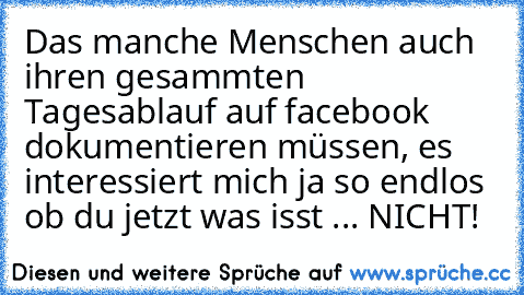 Das manche Menschen auch ihren gesammten Tagesablauf auf facebook dokumentieren müssen, es interessiert mich ja so endlos ob du jetzt was isst ... NICHT!