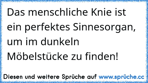 Das menschliche Knie ist ein perfektes Sinnesorgan, um im dunkeln Möbelstücke zu finden!