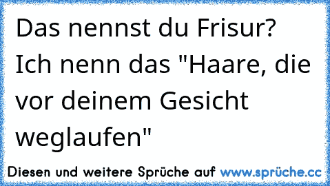 Das nennst du Frisur? Ich nenn das "Haare, die vor deinem Gesicht weglaufen"