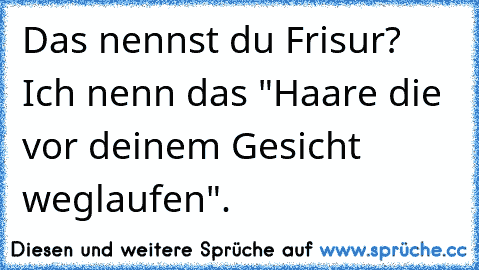 Das nennst du Frisur? Ich nenn das "Haare die vor deinem Gesicht weglaufen".