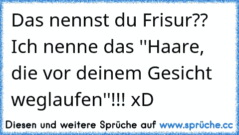 Das nennst du Frisur?? Ich nenne das ''Haare, die vor deinem Gesicht weglaufen''!!! xD