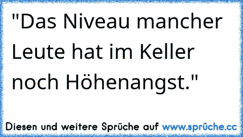 "Das Niveau mancher Leute hat im Keller noch Höhenangst."