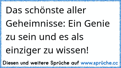 Das schönste aller Geheimnisse: Ein Genie zu sein und es als einziger zu wissen!