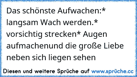 Das schönste Aufwachen:
* langsam Wach werden.
* vorsichtig strecken
* Augen aufmachen
und die große Liebe neben sich liegen sehen ♥