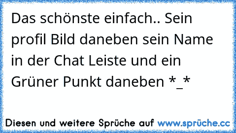 Das schönste einfach.. Sein profil Bild daneben sein Name in der Chat Leiste und ein Grüner Punkt daneben *_*