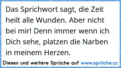 Das Sprichwort sagt, die Zeit heilt alle Wunden. Aber nicht bei mir! Denn immer wenn ich Dich sehe, platzen die Narben in meinem Herzen.