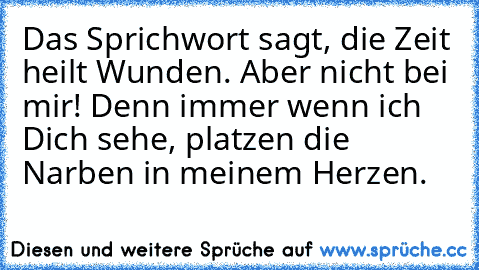 Das Sprichwort sagt, die Zeit heilt Wunden. Aber nicht bei mir! Denn immer wenn ich Dich sehe, platzen die Narben in meinem Herzen. ♥