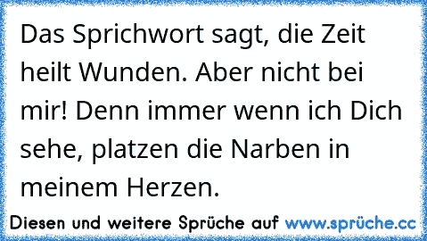 Das Sprichwort sagt, die Zeit heilt Wunden. Aber nicht bei mir! Denn immer wenn ich Dich sehe, platzen die Narben in meinem Herzen.