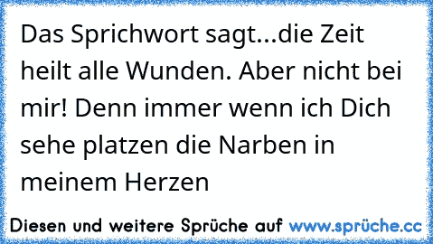 Das Sprichwort sagt...die Zeit heilt alle Wunden. Aber nicht bei mir! Denn immer wenn ich Dich sehe platzen die Narben in meinem Herzen