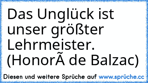 Das Unglück ist unser größter Lehrmeister. (Honoré de Balzac)