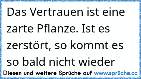 Das Vertrauen ist eine zarte Pflanze. Ist es zerstört, so kommt es so bald nicht wieder