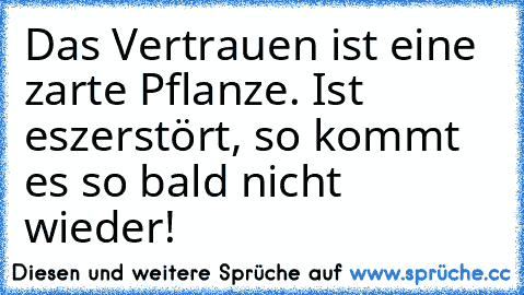 Das Vertrauen ist eine zarte Pflanze. Ist es
zerstört, so kommt es so bald nicht wieder! ♥