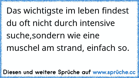 Das wichtigste im leben findest du oft nicht durch intensive suche,
sondern wie eine muschel am strand, einfach so.