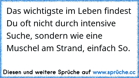 Das wichtigste im Leben findest Du oft nicht durch intensive Suche, sondern wie eine Muschel am Strand, einfach So.